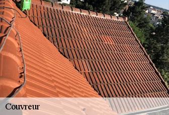 Couvreur Lot